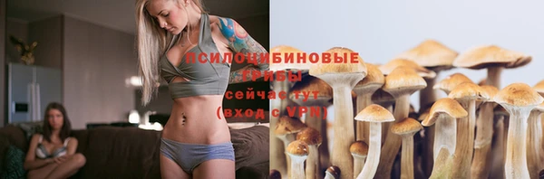 соль ск Балабаново