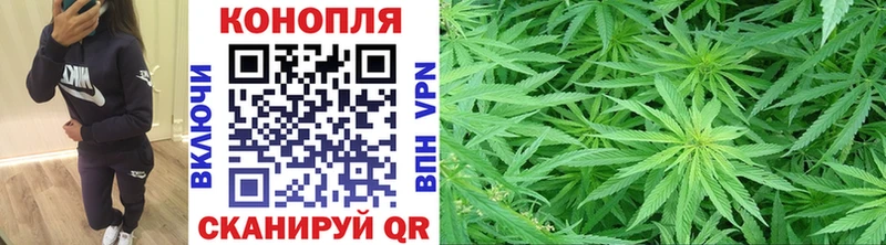 даркнет наркотические препараты  Новый Оскол  Бошки Шишки индика 